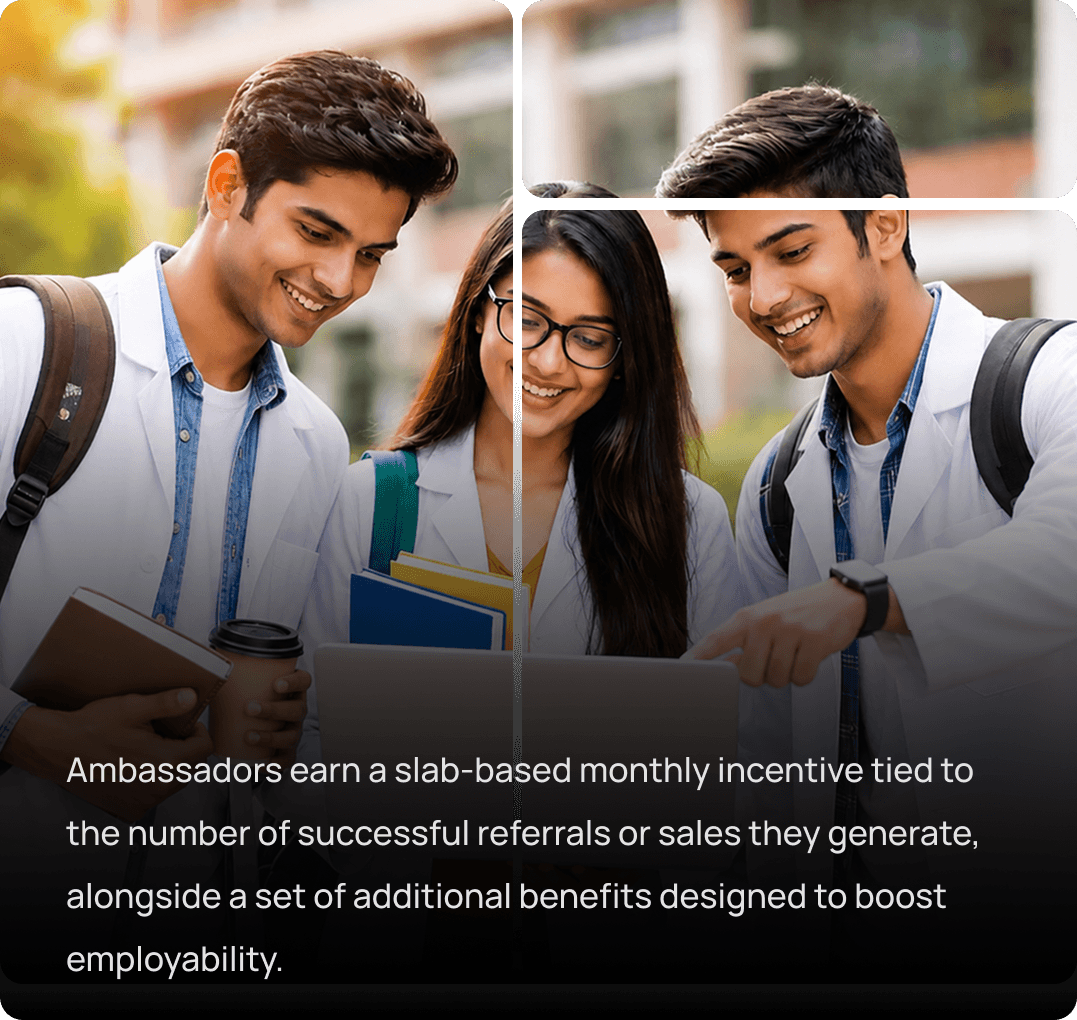 Campus ambassadors collaborating